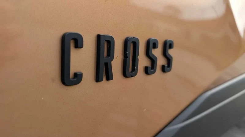 Anteprima 19
