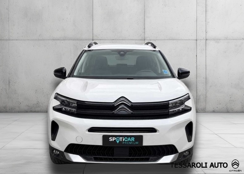 Anteprima 3