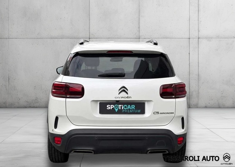 Anteprima 6