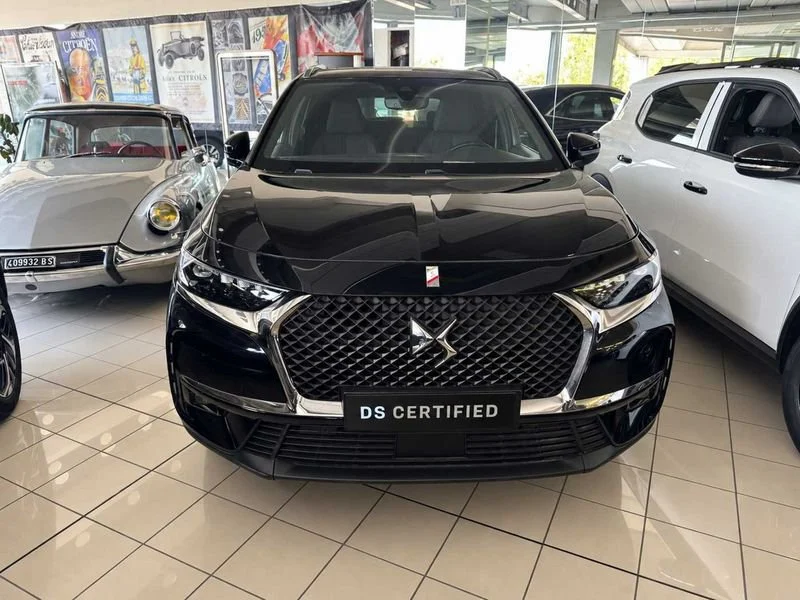 Anteprima 14